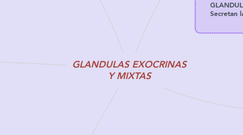 Mind Map: GLANDULAS EXOCRINAS Y MIXTAS