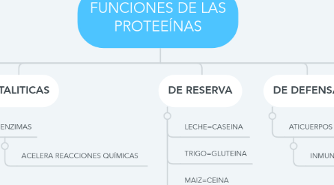 Mind Map: FUNCIONES DE LAS PROTEEÍNAS