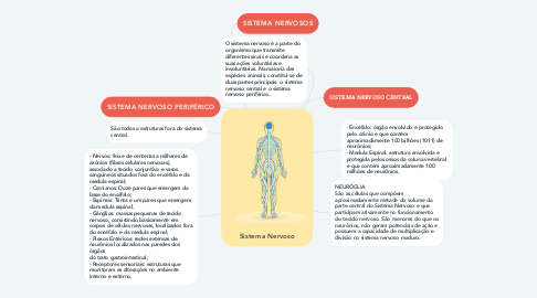 Mind Map: Sistema Nervoso