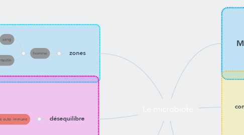 Mind Map: Le microbiote