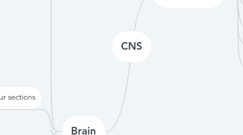 Mind Map: CNS
