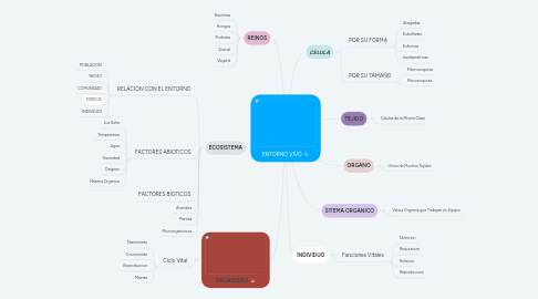 Mind Map: ENTORNO VIVO