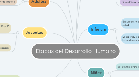 Mind Map: Etapas del Desarrollo Humano