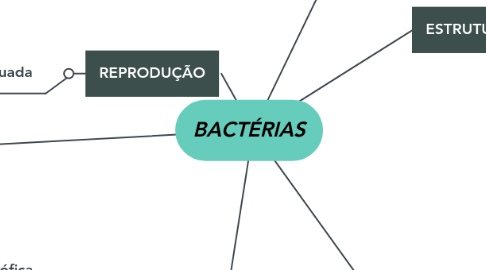 Mind Map: BACTÉRIAS