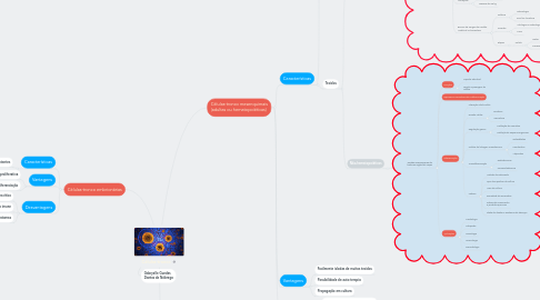 Mind Map: Células-tronco