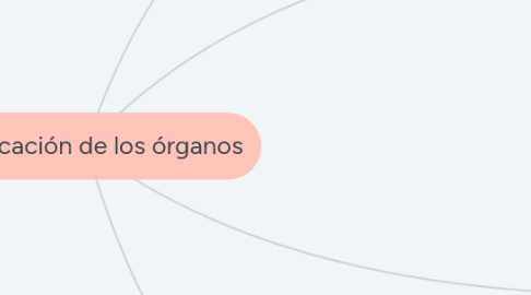 Mind Map: Clasificación de los órganos