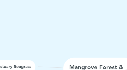 Mind Map: Mangrove Forest & Estuary Seagrass