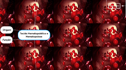 Mind Map: Tecido Hematopoiético e Hematopoiese