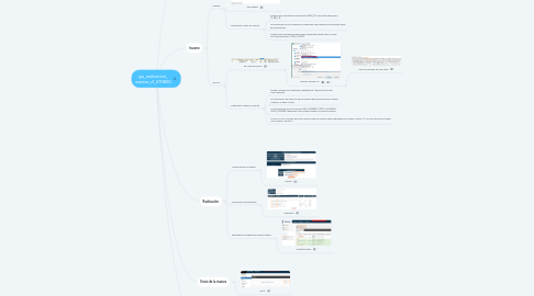 Mind Map: iyu_radicacion_ masiva_v1_270820