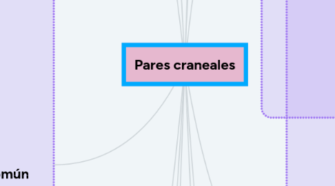 Mind Map: Pares craneales