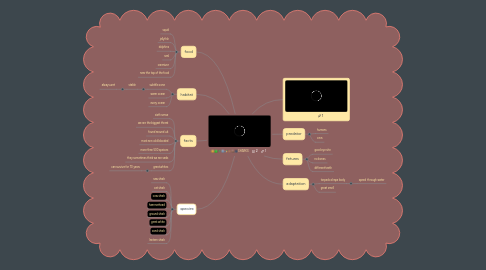 Mind Map: SHARKS