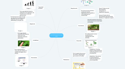 Mind Map: Características de los seres vivos