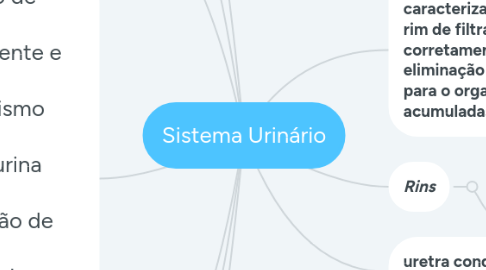 Mind Map: Sistema Urinário