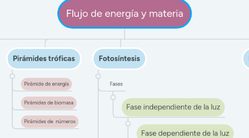 Mind Map: Flujo de energía y materia