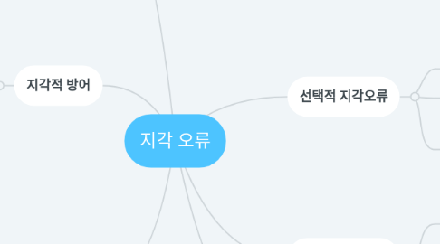 Mind Map: 지각 오류