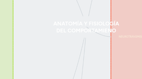 Mind Map: ANATOMÍA Y FISIOLOGÍA DEL COMPORTAMIENO