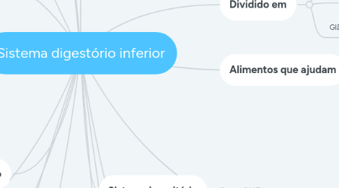 Mind Map: Sistema digestório inferior