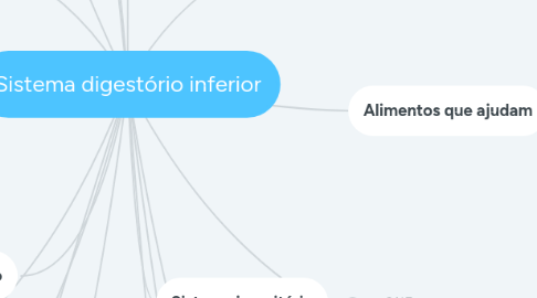 Mind Map: Sistema digestório inferior