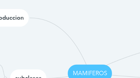 Mind Map: MAMIFEROS