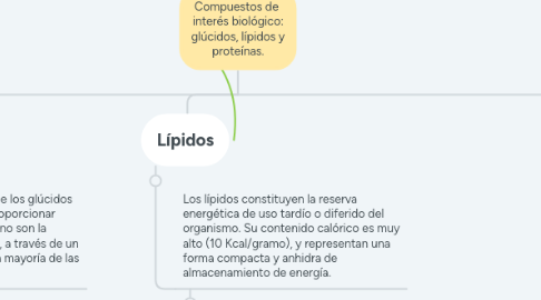 Mind Map: Compuestos de  interés biológico: glúcidos, lípidos y proteínas.