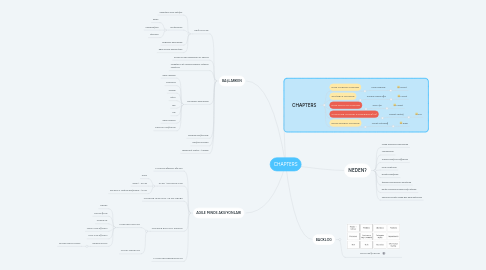 Mind Map: CHAPTERS