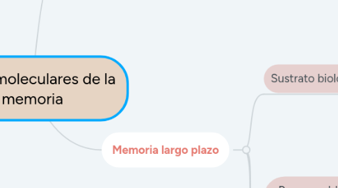 Mind Map: Bases moleculares de la memoria