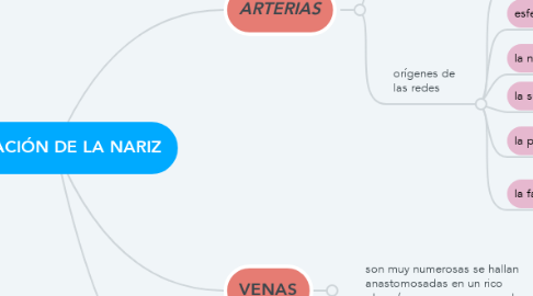 Mind Map: IRRIGACIÓN DE LA NARIZ