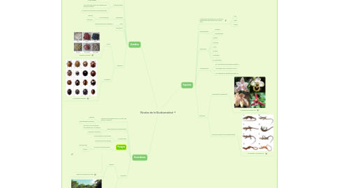 Mind Map: Niveles de la Biodiversidad