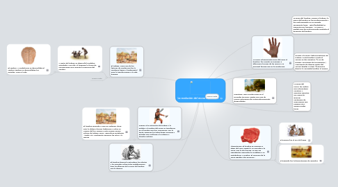 Mind Map: La evolución del mono al hombre