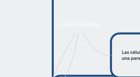 Mind Map: Célula vegetal