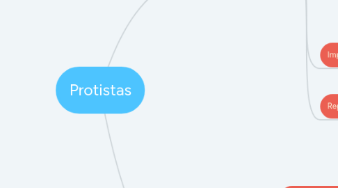 Mind Map: Protistas