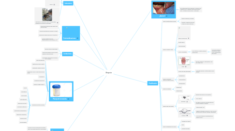 Mind Map: Biopsia