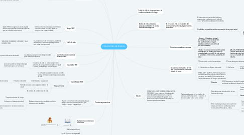 Mind Map: CONDUCTAS DE RIESGO.