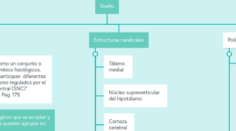 Mind Map: Sueño