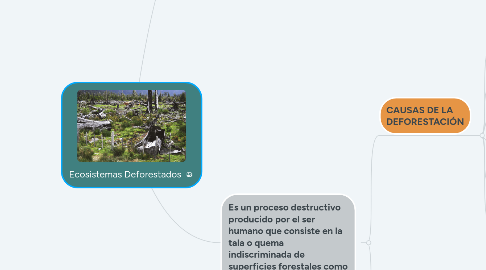 Mind Map: Ecosistemas Deforestados