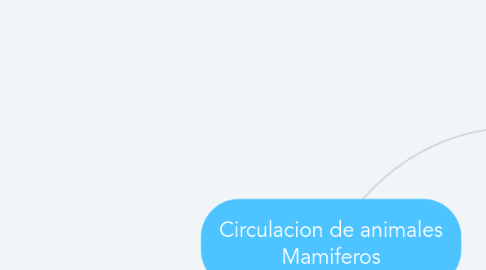 Mind Map: Circulacion de animales Mamiferos