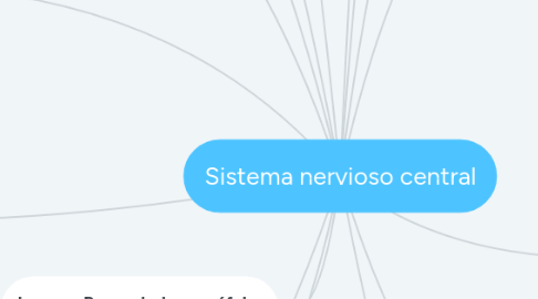 Mind Map: Sistema nervioso central