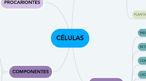 Mind Map: CÉLULAS