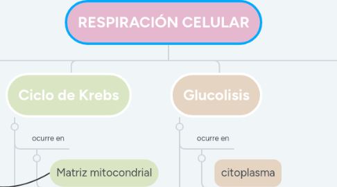 Mind Map: RESPIRACIÓN CELULAR