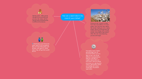 Mind Map: How can a seed make it into most of your clothes?