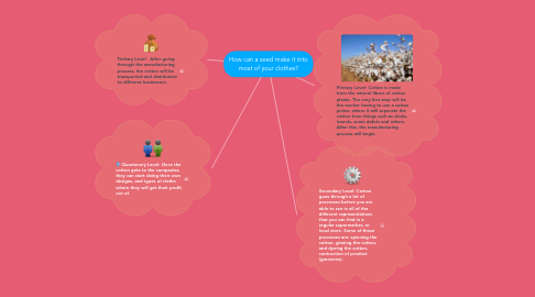 Mind Map: How can a seed make it into most of your clothes?