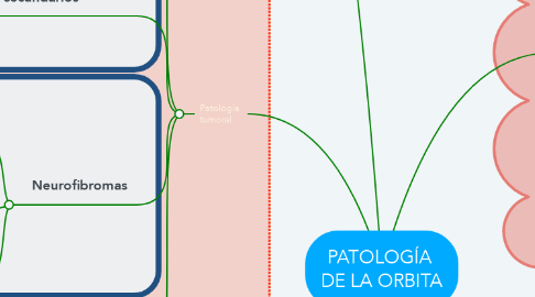 Mind Map: PATOLOGÍA  DE LA ORBITA