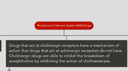 Mind Map: Autonomic Nervous System (ANS) Drugs