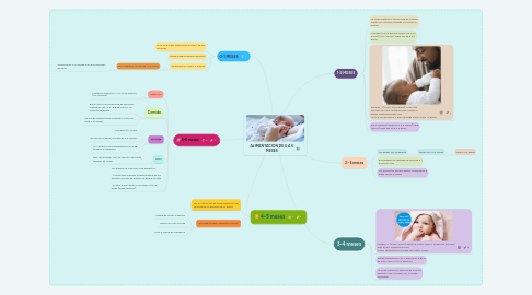 Mind Map: ALIMENTACION DE 0 A 6 MESES