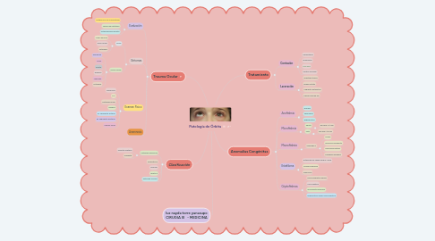 Mind Map: Patología de Órbita