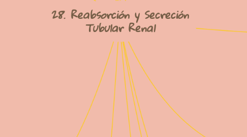 Mind Map: 28. Reabsorción y Secreción Tubular Renal