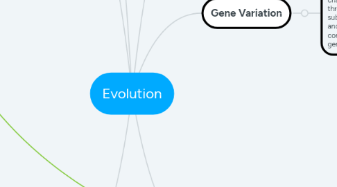 Mind Map: Evolution