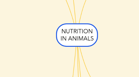 Mind Map: NUTRITION IN ANIMALS