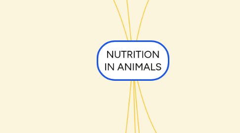 Mind Map: NUTRITION IN ANIMALS