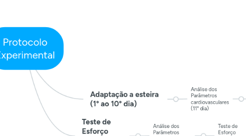 Mind Map: Protocolo Experimental